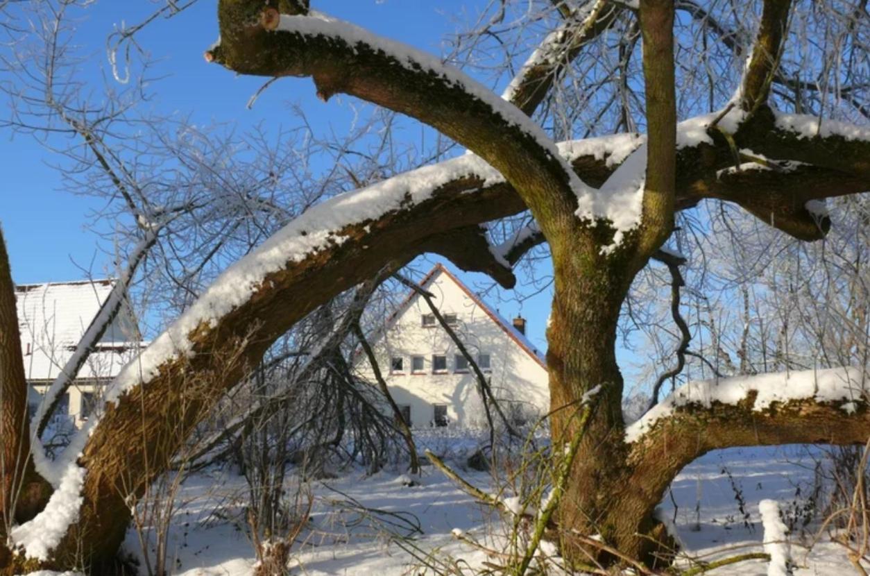 Kulturgutleben Boutiquehotel Seminarhaus Mollenbeck Exteriör bild